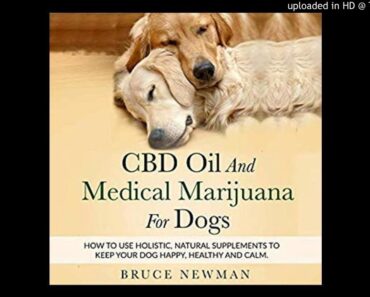 CBD Oil and Medical Marijuana for Dogs