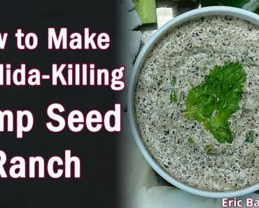 Recipe for Candida Diet: Hemp Seed Ranch