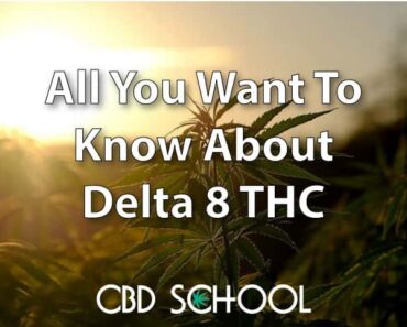 Delta 8 THC: All You Need to Know (And More)
