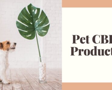 Zen Dogs and Cool Cats CBD Oil